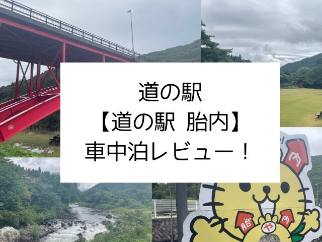 道の駅胎内　車中泊　感想　ブログ　レビュー