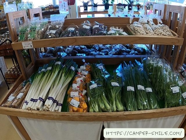 道の駅　南相馬　車中泊　レビュー　泊まってみた　感想　評価　ブログ