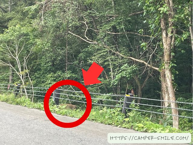 道の駅　裏磐梯　車中泊　感想　ブログ