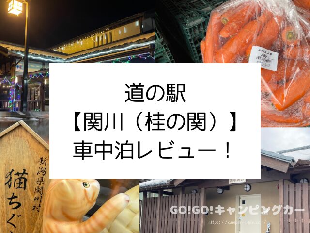 道の駅　関川　車中泊　レビュー　感想　レポート　ブログ　トイレ　新潟