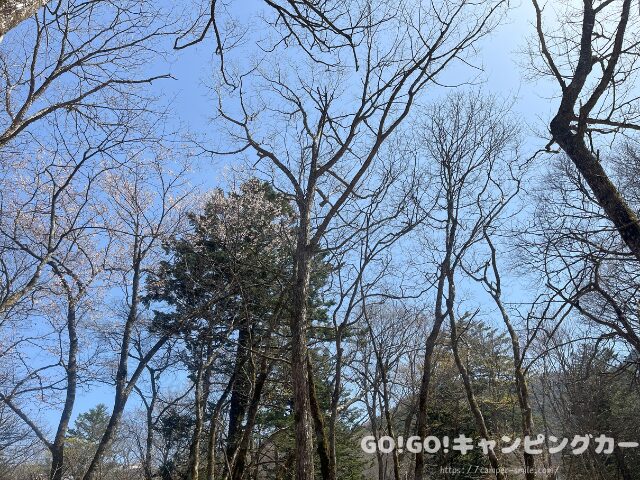 平湯キャンプ場 ブログ レビュー 写真 感想 レポート