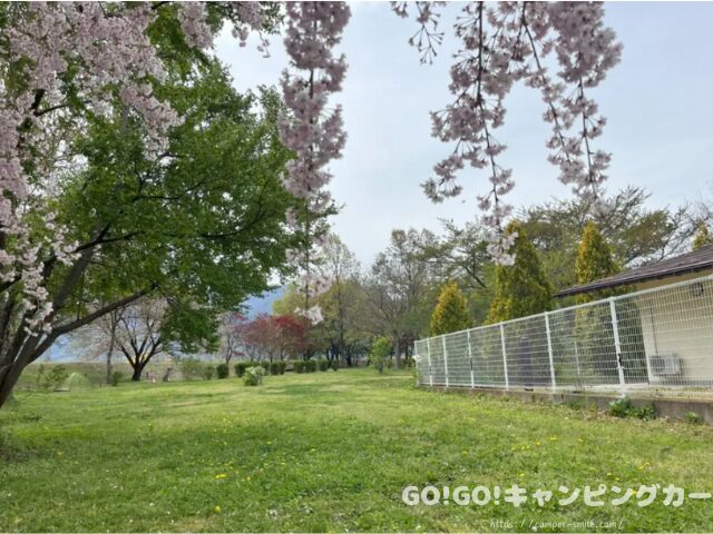 かじかの里公園キャンプ場 ブログ レビュー 写真 感想 レポート 長野県