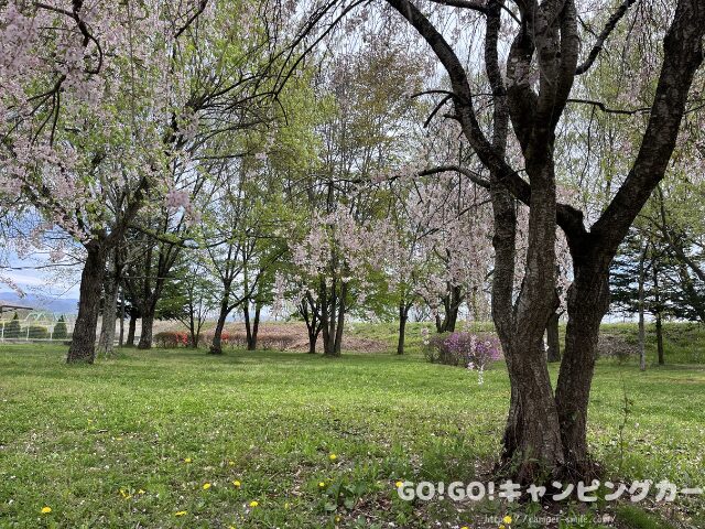 かじかの里公園キャンプ場 ブログ レビュー 写真 感想 レポート 長野県