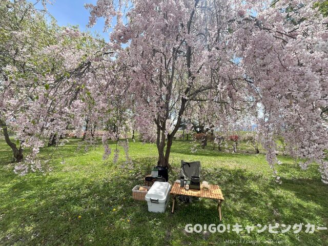 かじかの里公園キャンプ場 ブログ レビュー 写真 感想 レポート 長野県