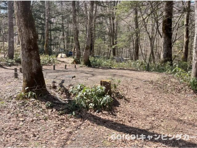 平湯キャンプ場 ブログ レビュー 写真 感想 レポート