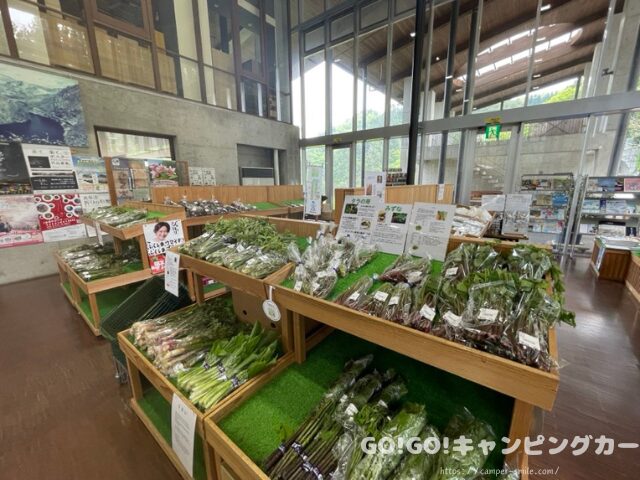道の駅 尾瀬街道みしま宿 車中泊 レビュー 実際に泊まってみた感想 評価 ブログ トイレ 駐車場 騒音 福島県 会津