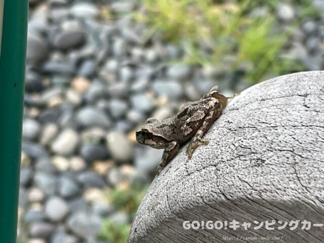 道の駅『庭園の郷 保内　車中泊　レビュー　評価　感想　ブログ