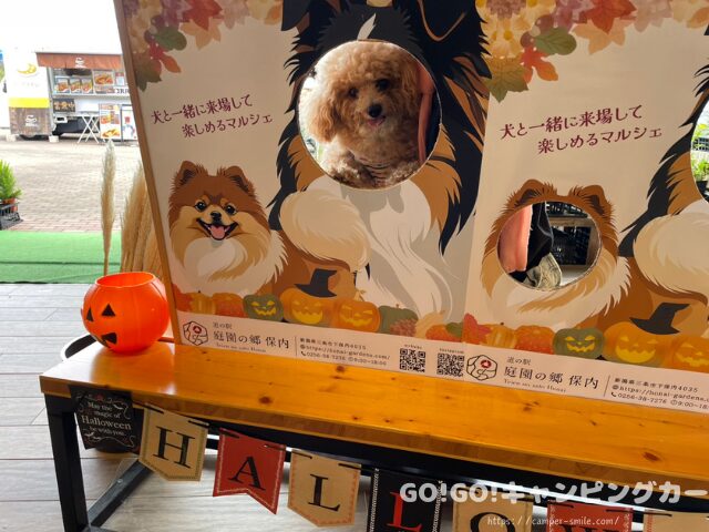 道の駅『庭園の郷 保内　車中泊　レビュー　評価　感想　ブログ