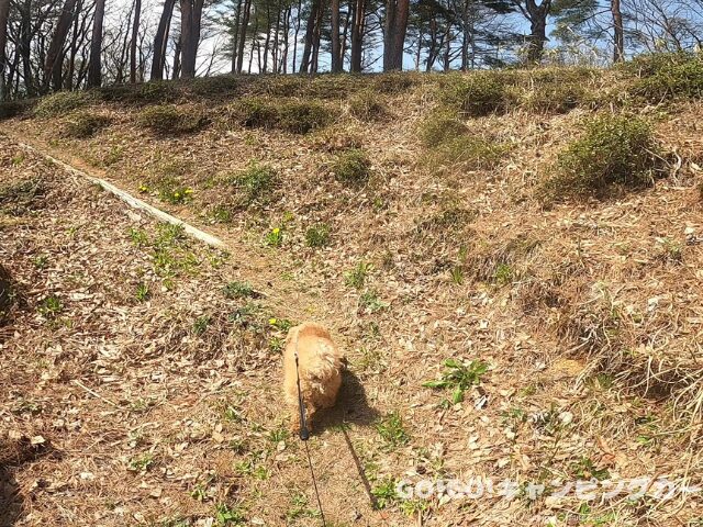 前が岳アウトドアパーク 野営場 レビュー まとめ