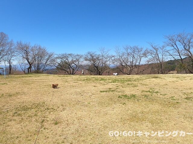 無料キャンプ場
予約不要 キャンプ場
キャンプ場 料金案内
利用案内 看板
福島 無料キャンプ場
