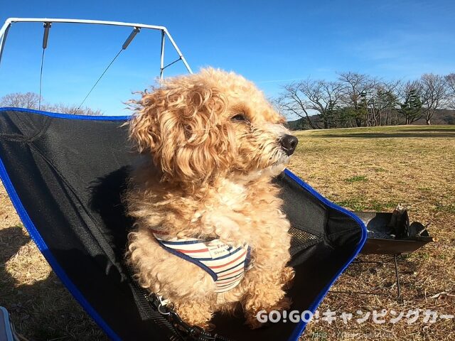 キャンプ場 まとめ
福島 キャンプ場 レビュー
自然公園キャンプ場 まとめ
犬連れキャンプ場 まとめ
景色のいい無料キャンプ場

