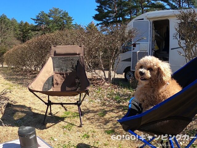 芝生キャンプ場 開放感
景色がいいキャンプ場
清潔なキャンプ場
無料キャンプ場 雰囲気
ペット連れ キャンプ場
