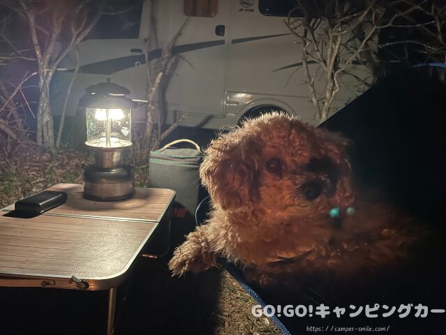 ペット可 キャンプ場 案内
犬連れOK キャンプ場
ペット同伴 キャンプ場
キャンプ場 利用確認
犬連れキャンプ 福島
