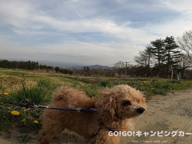 前が岳アウトドアパーク 芝サイト
前が岳アウトドアパーク 芝サイト 写真
犬連れ 芝サイト 福島
大玉村 芝生 キャンプ場
キャンプ場 芝サイト