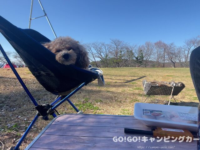 キャンプ場 利用感 キャンプ場 総合レビュー 芝生サイト 雰囲気 自然公園キャンプ場 眺め