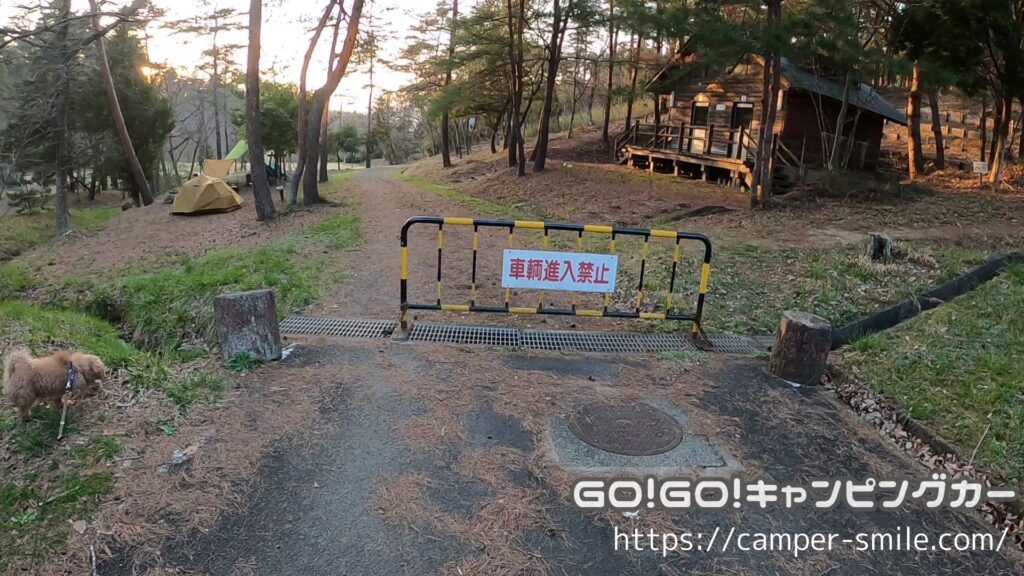 キャンプ場 注意点
