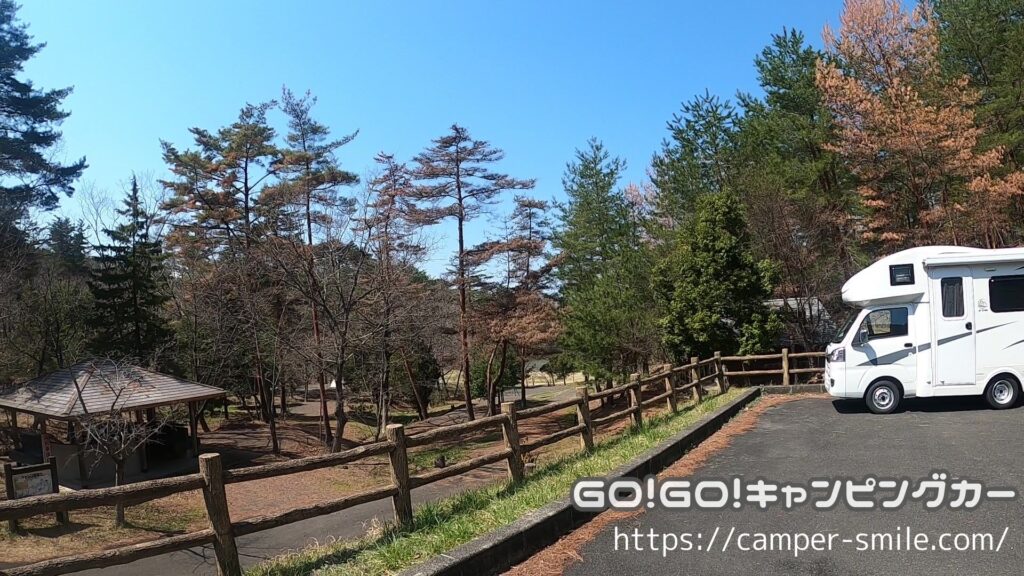 森林公園キャンプ場 体験